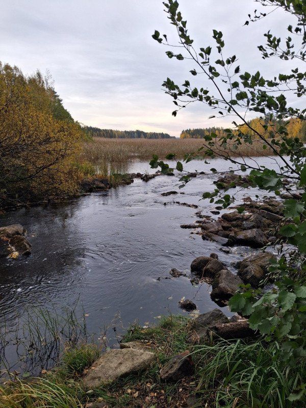 Kuopio Health newsletter 3/2025