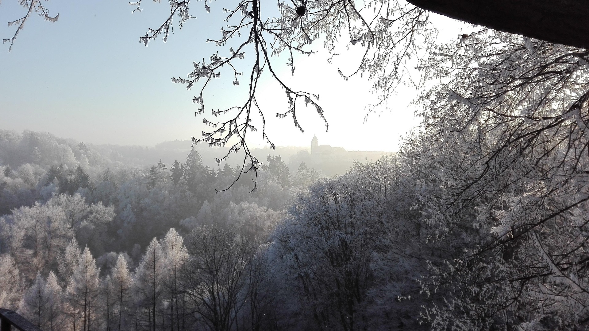 Kuopio Health newsletter 4/2025