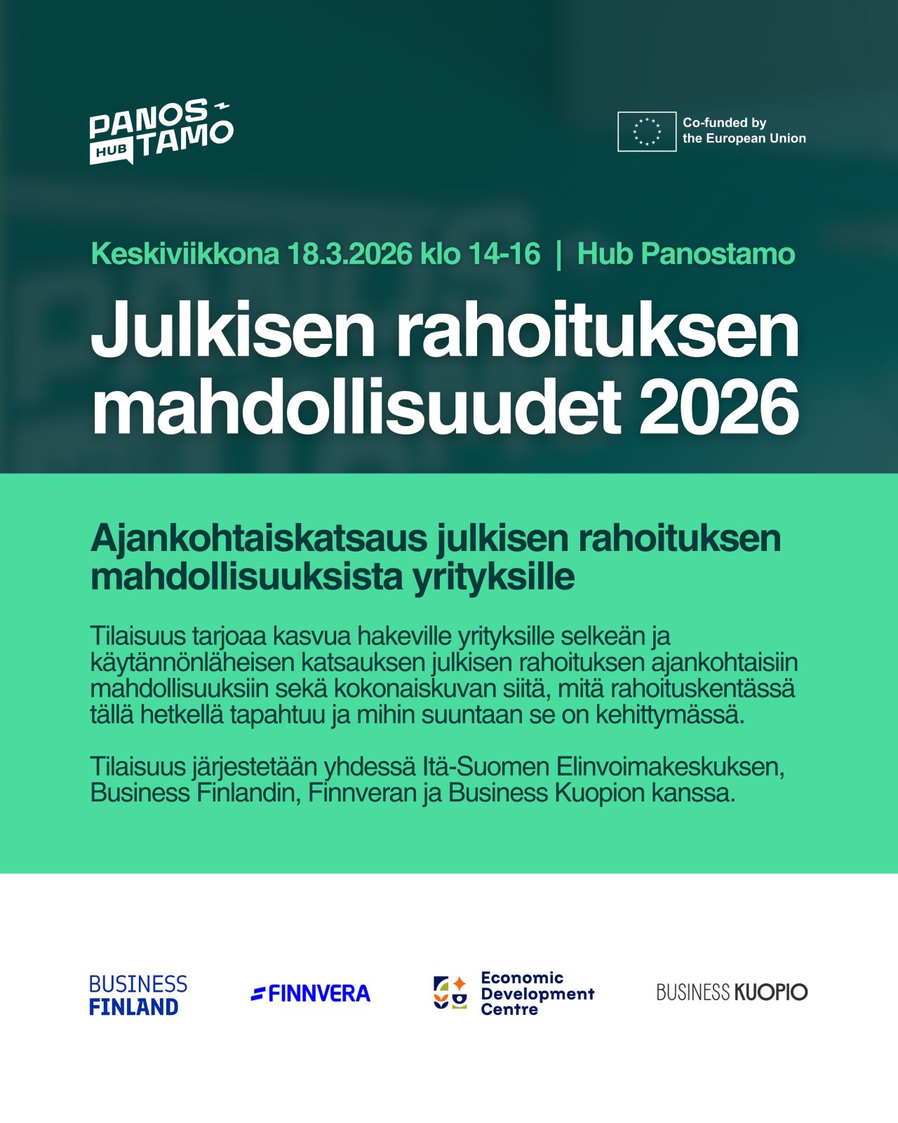 Julkisen rahoituksen mahdollisuudet