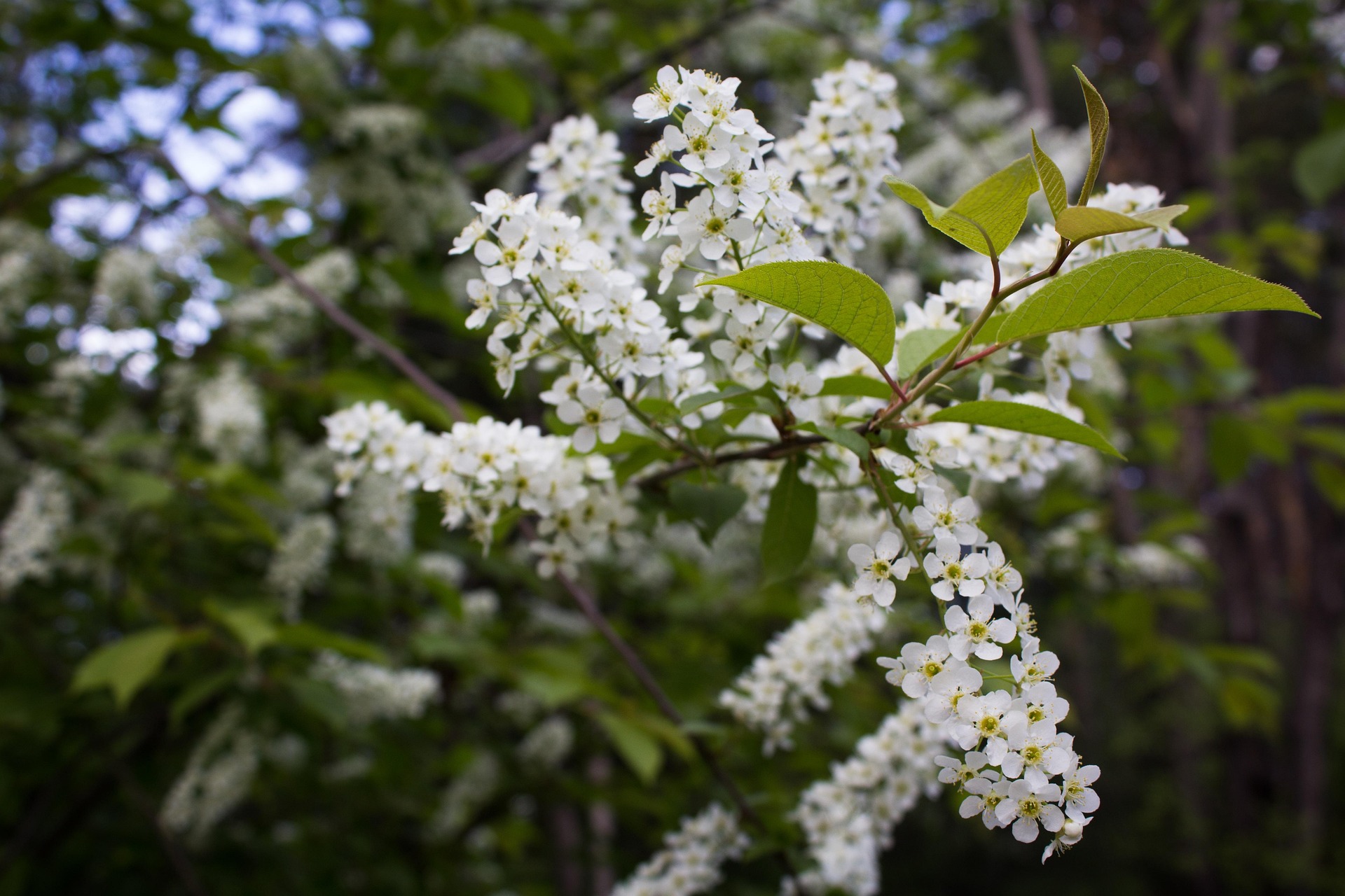 Kuopio Health newsletter 2/2026